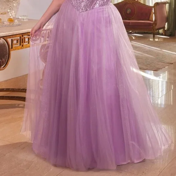 NEW FORMAL SLEEVELESS PLUS SIZE A-LINE TULLE GOWN EMBROIDERED W/ SEQUINS CD0217C
